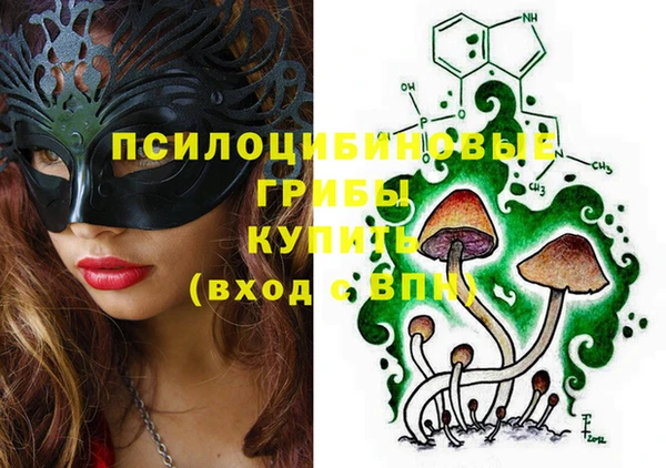 героин Алексин