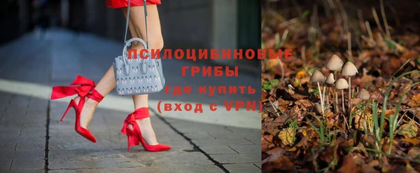героин Алексин