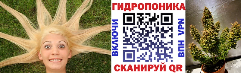 Каннабис план  Тара 